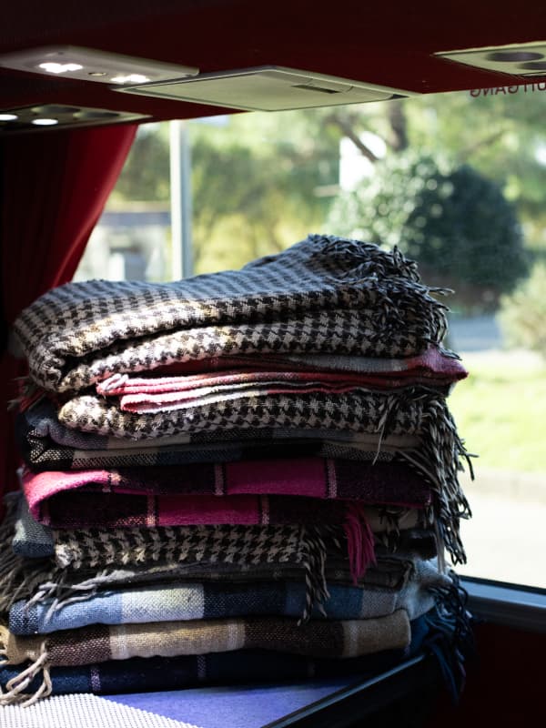 Пледи для пасажирів