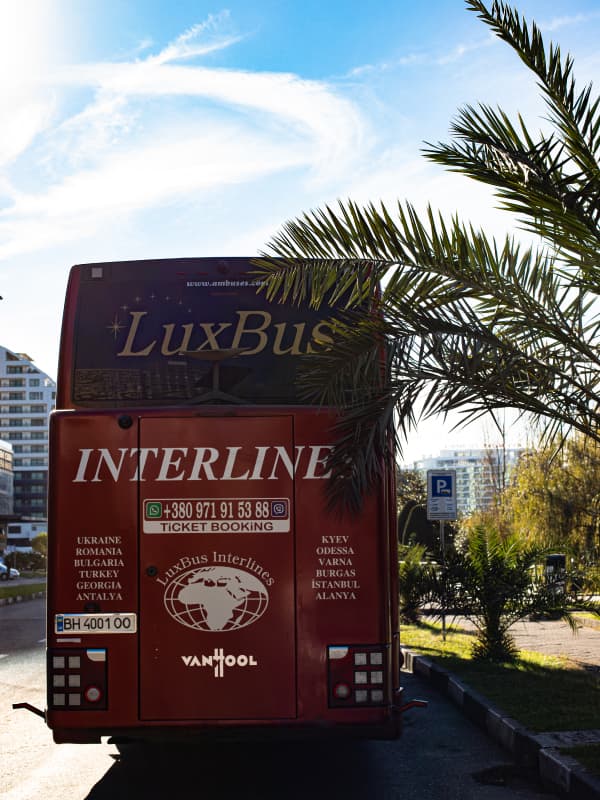 Comfort — вид ззаду